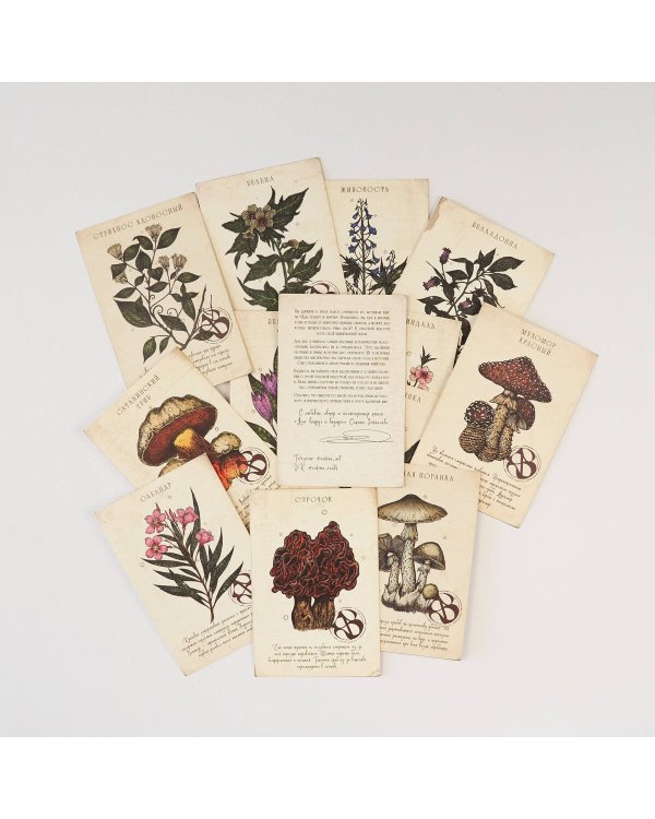 Ядовитые послания. Набор из 12 открыток для посткроссинга от Сакины Зейналовой (почтовые)