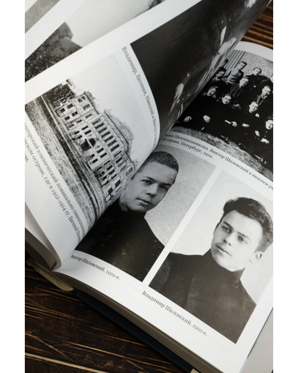 Шкловские: Семейные хроники