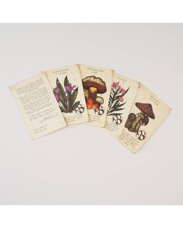 Ядовитые послания. Набор из 12 открыток для посткроссинга от Сакины Зейналовой (почтовые)