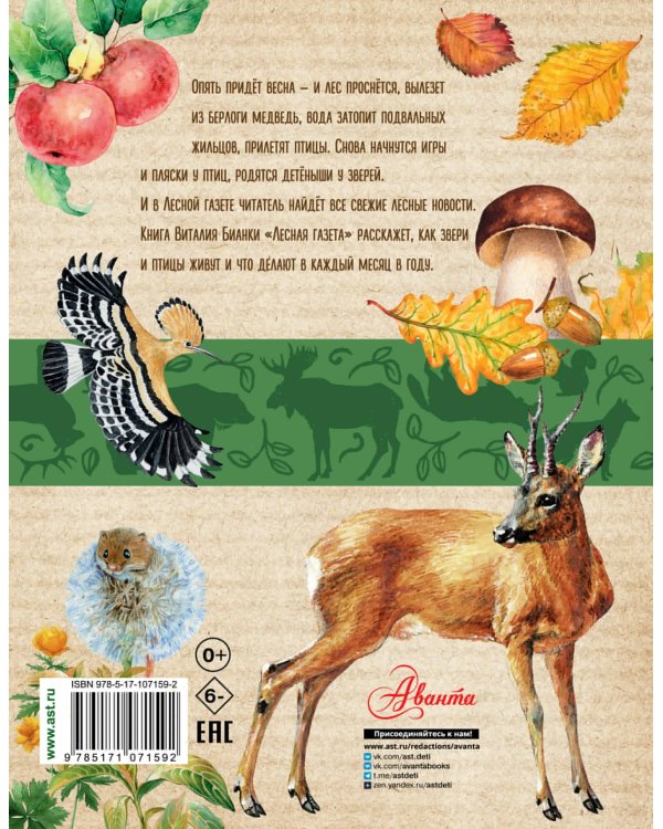 Лесная газета