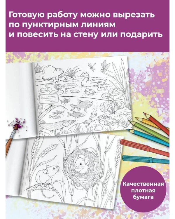 Моя любимая природа