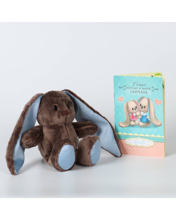 Мягкая игрушка «Зайка Lu с книжкой», мальчик