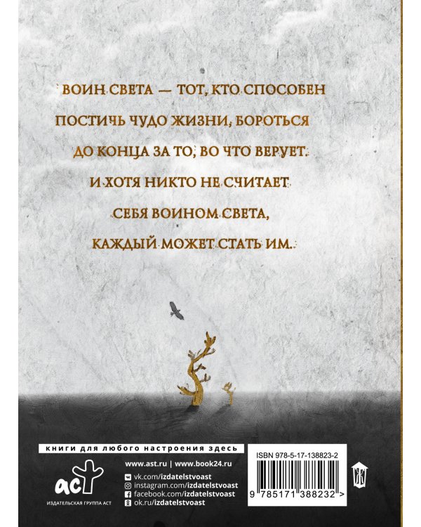 Книга воина света