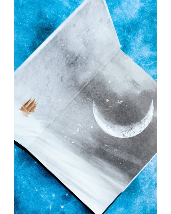 Книга воина света