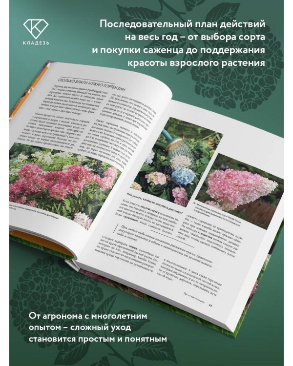 Гортензии. Выращиваем, ухаживаем и наслаждаемся в любом саду