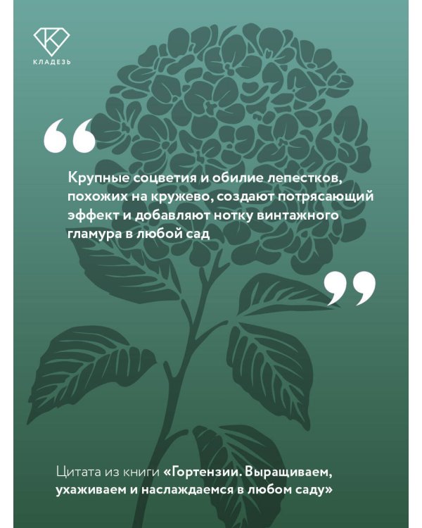 Гортензии. Выращиваем, ухаживаем и наслаждаемся в любом саду