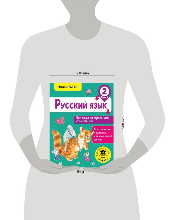Русский язык. Все виды контрольного списывания. 2 класс