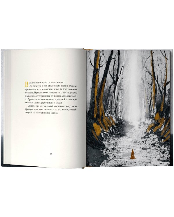 Книга воина света