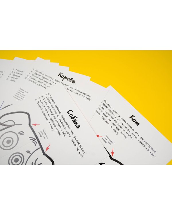 Любимые животные