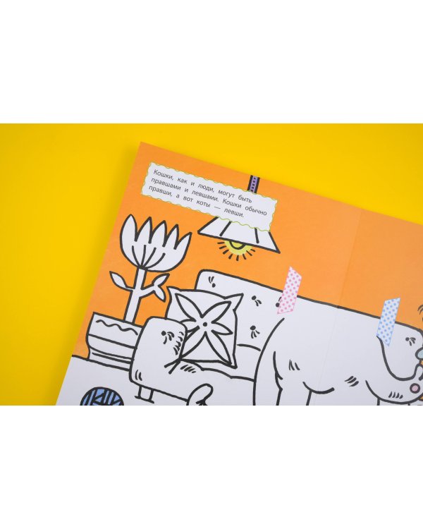 Любимые животные