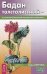 Бадан толстолистный - в лечении болезней внутренних органов
