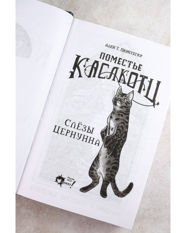 Поместье Каслкотц. Слёзы Цернунна