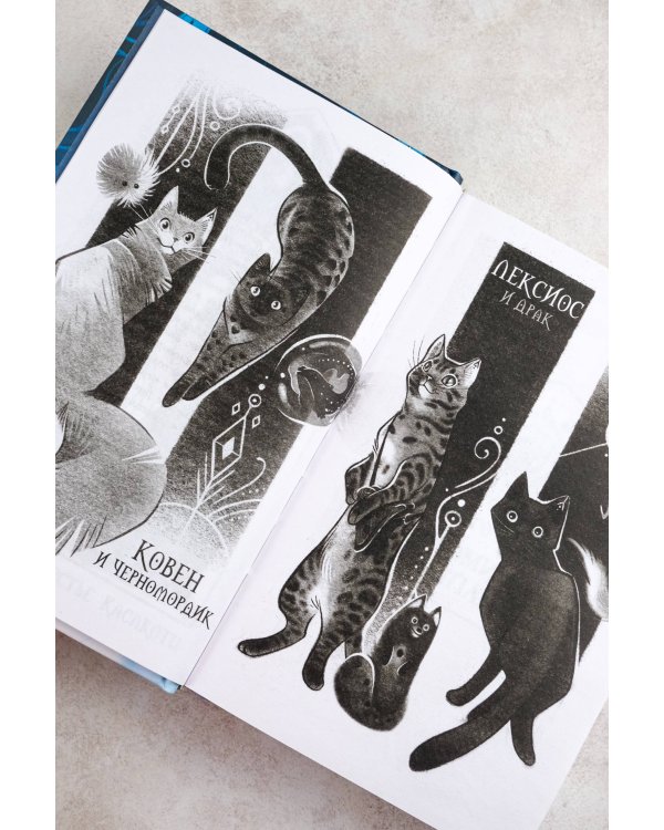 Поместье Каслкотц. Слёзы Цернунна