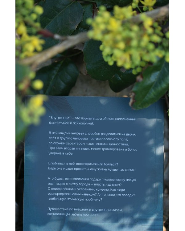 Внутренние. Дневник из другого мира