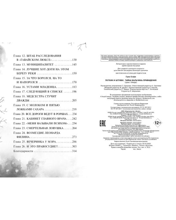 Поткин и Штуббс. Тайна мальчика-привидения (новое оформление)