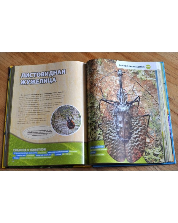 Большая энциклопедия насекомых