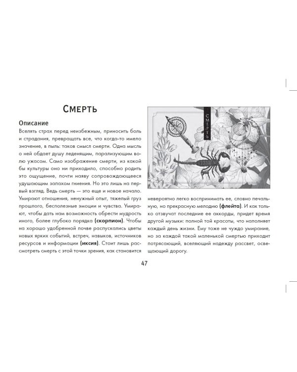 Зеленая лесная Магия. Witch Oracle Cards