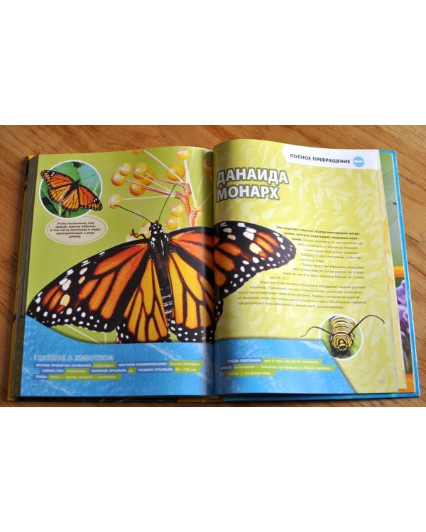 Большая энциклопедия насекомых