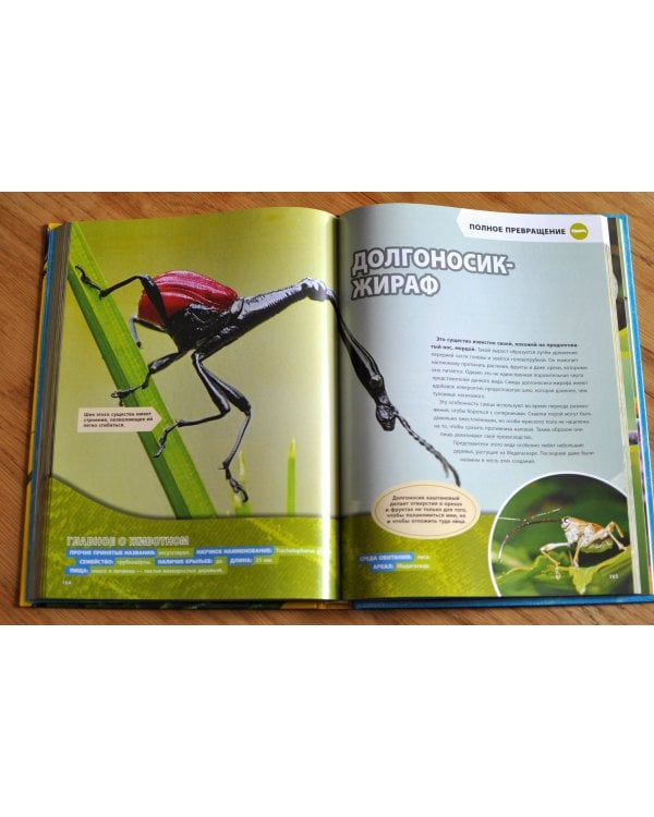 Большая энциклопедия насекомых