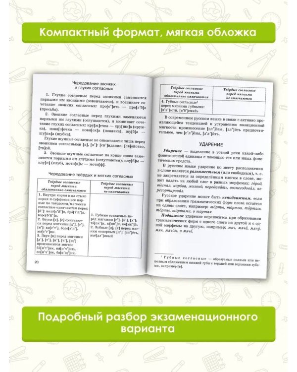 ОГЭ. Русский язык. Комплексная подготовка к основному государственному экзамену: теория и практика