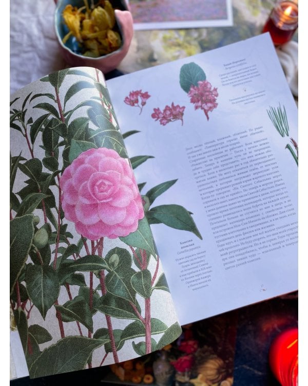 Мой сад. Путешествие к себе