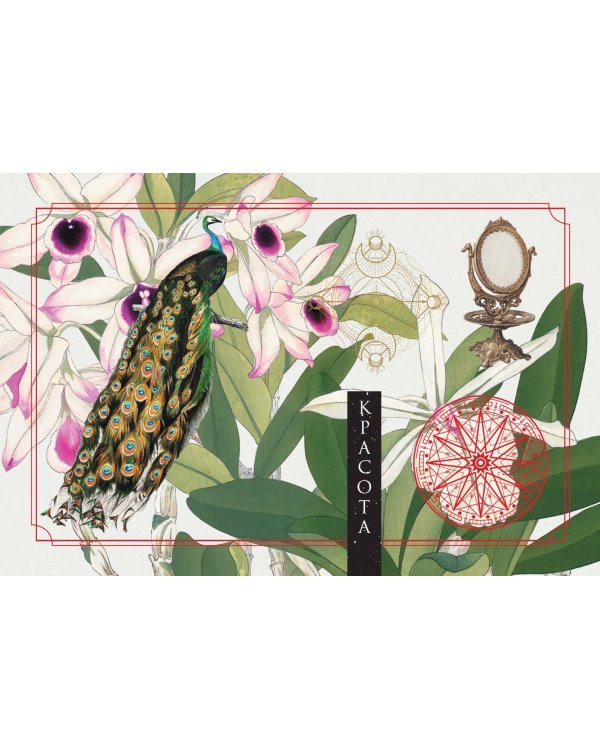 Ключи Зеленой магии. Ведьмовской оракул