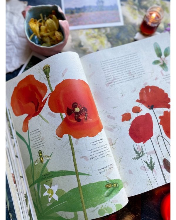 Мой сад. Путешествие к себе