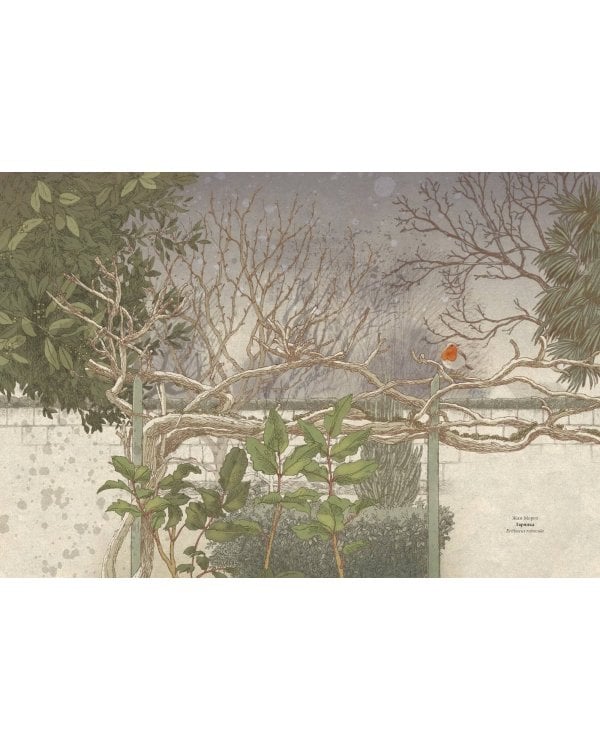 Мой сад. Путешествие к себе