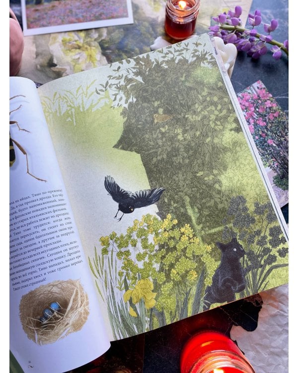 Мой сад. Путешествие к себе