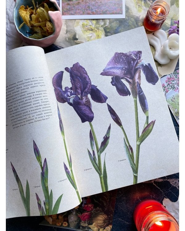 Мой сад. Путешествие к себе