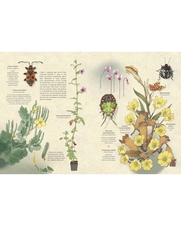 Мой сад. Путешествие к себе