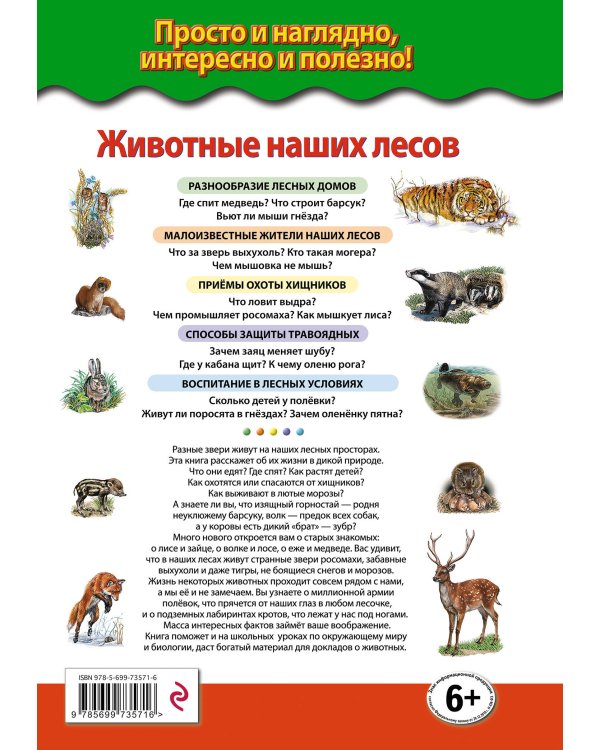 Животные наших лесов. Все лесные звери России