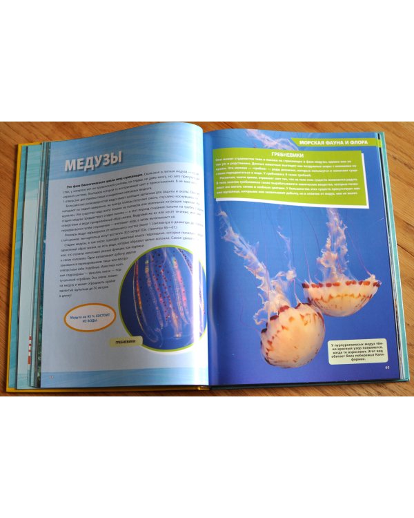 Большая энциклопедия океана