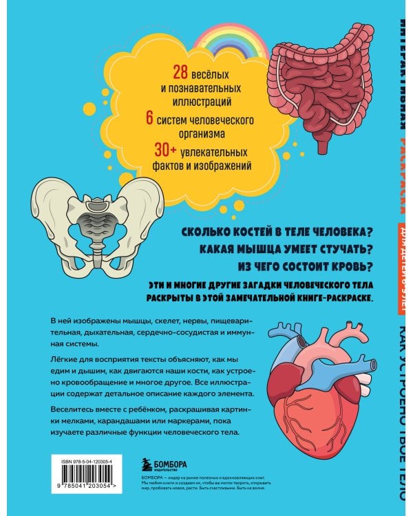 Как устроено твое тело. Интерактивная раскраска