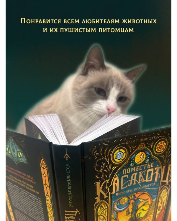 Поместье Каслкотц. Иномирье просыпается