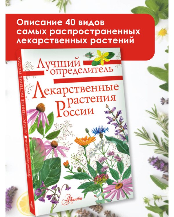 Лекарственные растения России