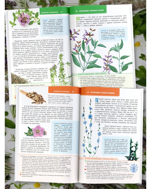 Лекарственные растения России