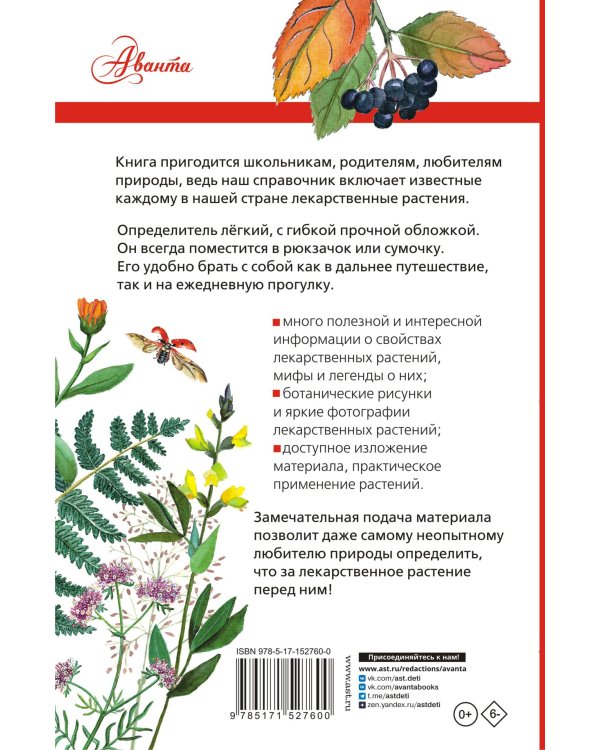 Лекарственные растения России