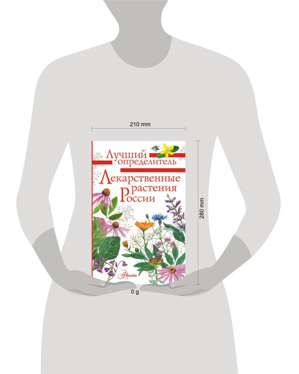Лекарственные растения России