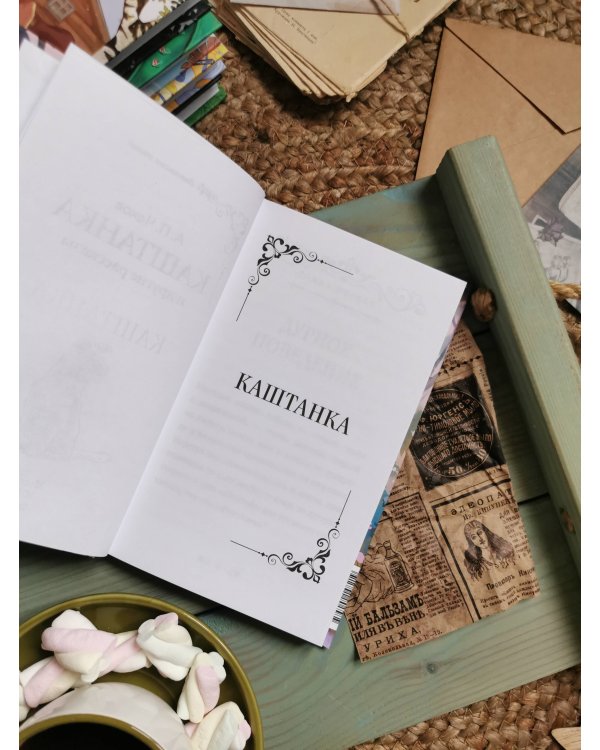 Каштанка и другие рассказы (Внеклассное чтение)