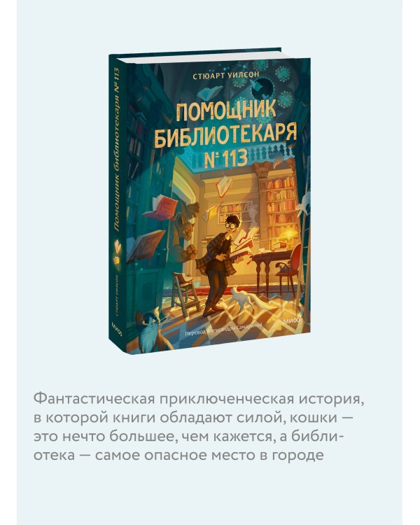 Помощник библиотекаря № 113