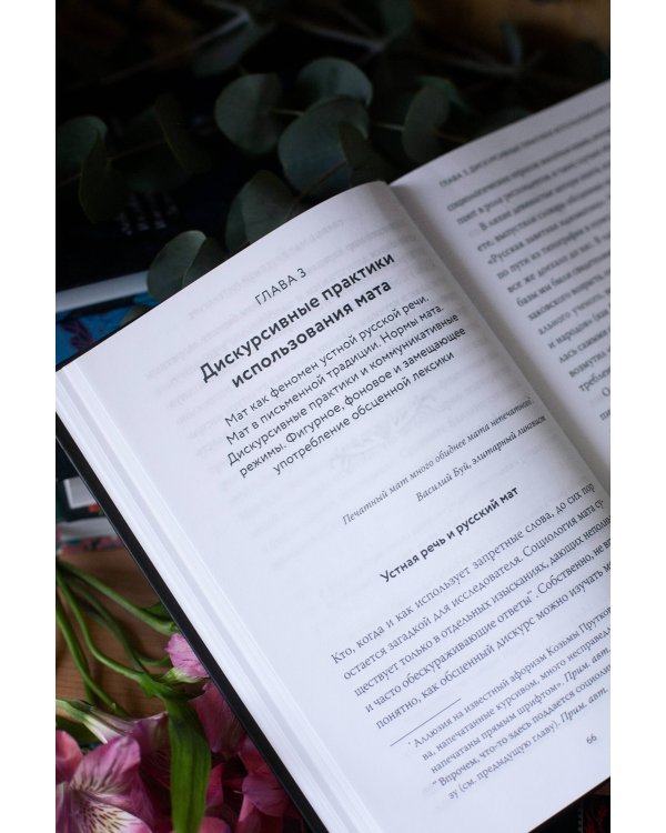 Запретные слова. Заметки лингвистов о русском мате