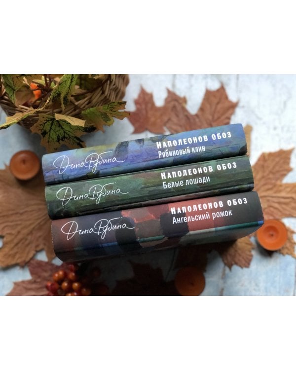 Наполеонов обоз. Книга 3: Ангельский рожок