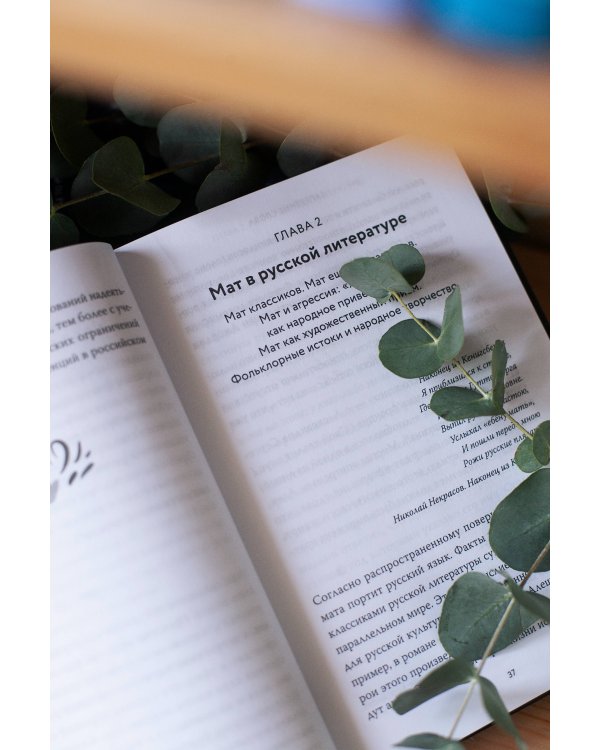 Запретные слова. Заметки лингвистов о русском мате