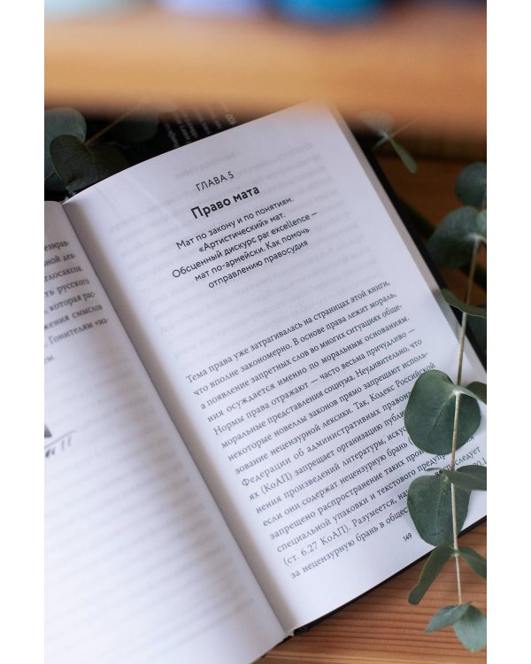 Запретные слова. Заметки лингвистов о русском мате