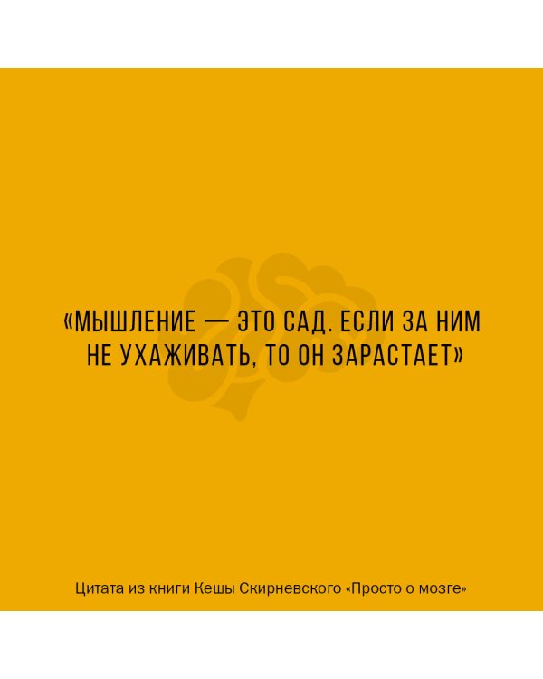 Просто о мозге. Как знания о мозге помогают получить больше