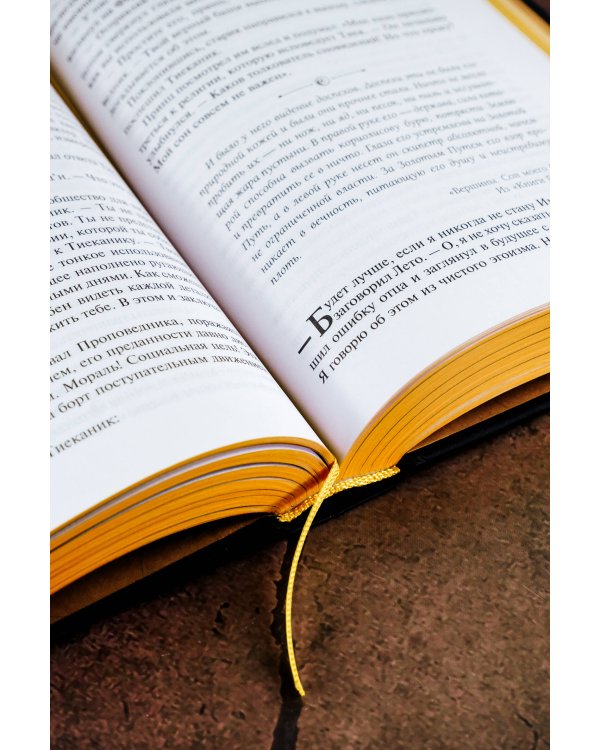 Мессия Дюны. Дети Дюны