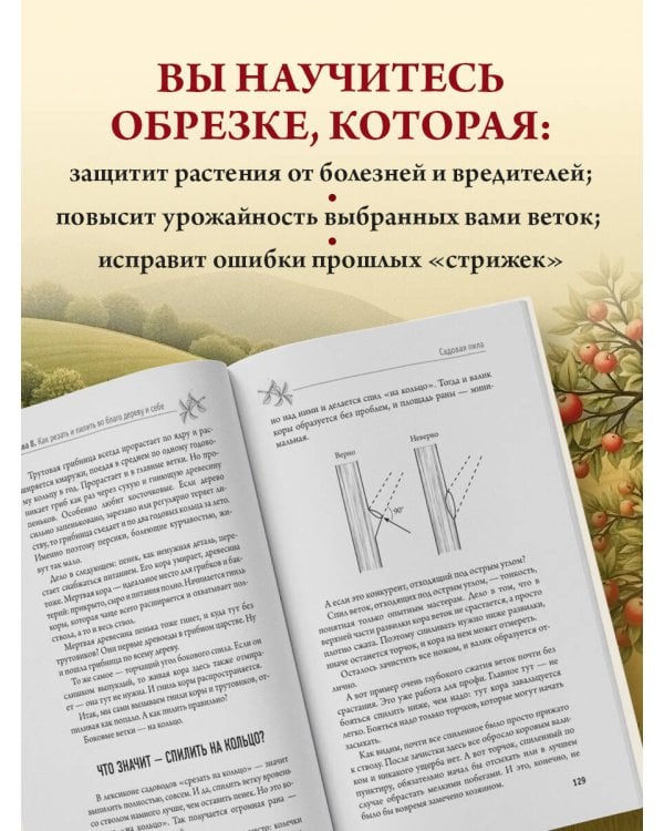 Обрезка и формировка деревьев и кустарников