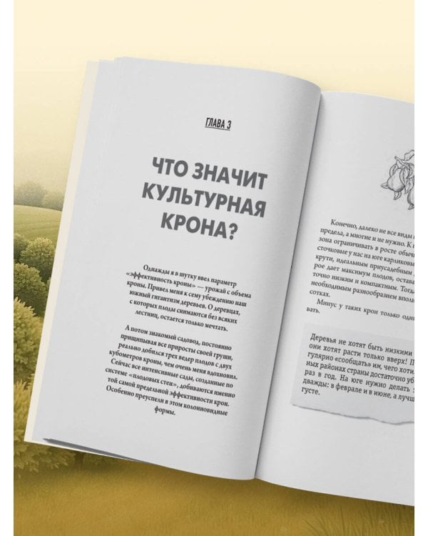 Обрезка и формировка деревьев и кустарников