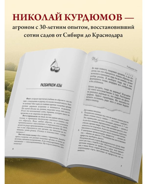 Обрезка и формировка деревьев и кустарников